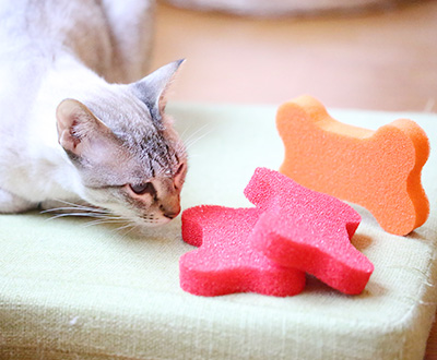 Laine de silicone pour animaux de compagnie en forme d'os